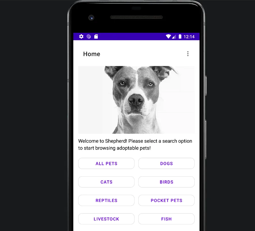 Shepherd pet adoption Android application preview showing category buttons for adoptable pets